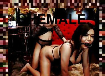 Hot shemale lovers fuck wildly on cam