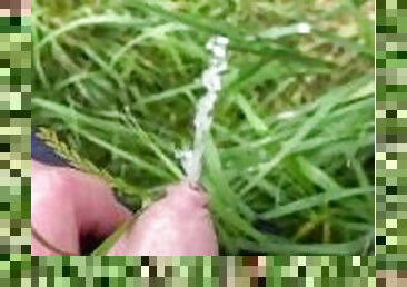 Close up piss of foreskin cock - making sure the grass is wet is important