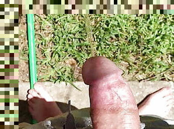 Backyard Piss