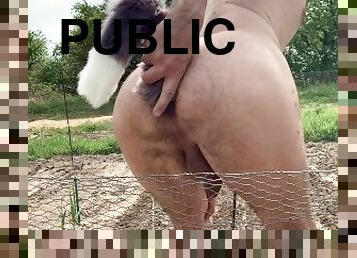 public, anal, hentai, cur-butt, gradina