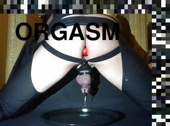 orgasmi, gay, hieronta, bdsm, mälli, perä-butt, fetissi, soolo, maito