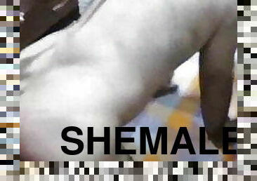 shemale, amatør, anal, eldre, hjemmelaget, arabisk, bdsm, par, slave, ladyboy