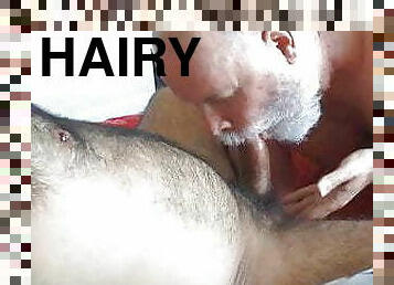 Hard, Hairy And Horny.