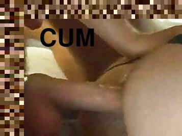 cump hardcore cumpigs 2