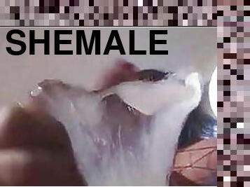 Shemale Mistress Feeds You Her Cock