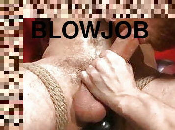 mastubasi, blowjob-seks-dengan-mengisap-penis, homo, bdsm-seks-kasar-dan-agresif, seks-grup, amerika, gulat, berotot, melahirkan