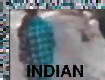 कुत्ता, भारतीय