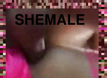 shemale, amatööri, anaali, valtava-mulkku, ladyboy, nussiminen, alusasut