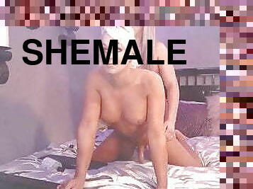 Stunning shemale couple humping like bunnies