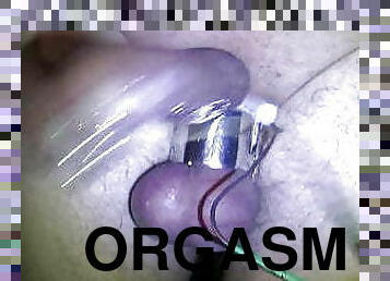 Pierced cock Electro stim to orgasm