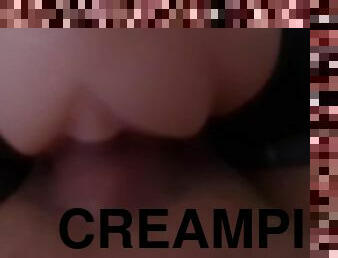 Creampie in die Pussy