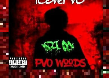 ILovePvO - PvO Woods 13