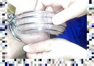 BBW Teasingly Rubs Hubby's Aching Hard Caged Cock