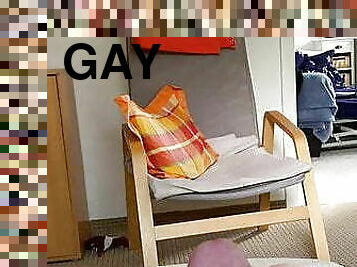 gay