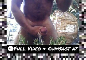 Ripped Bodybuilder Outdoor Masturbation Cumshot on Plants Bukkake