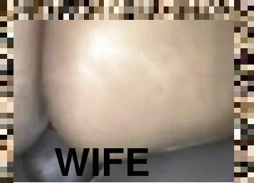 Wife Bounces On My Dick