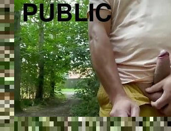 Small cock public wank someone walks past as I cum