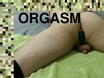 orgasme, amatør, anal, udløsning, legetøj, bøsse, sperm, europæisk, euro, solo