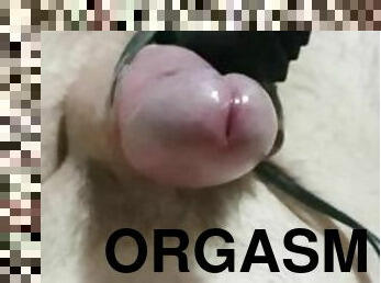 orgasmi, amatööri, kypsä, mälliotos, milf, lelu, pov, mälli, koneet, sperma