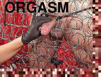 Cock Spanking Orgasm of tied up slave in a metal springs cage - Femdom Milking