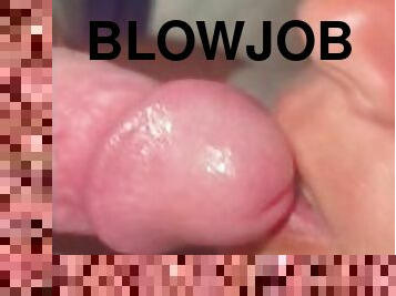 Close up Blowjob Female POV