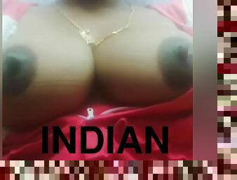 Indian Desi Tamil Girl Shows Her Boobs And Pussy