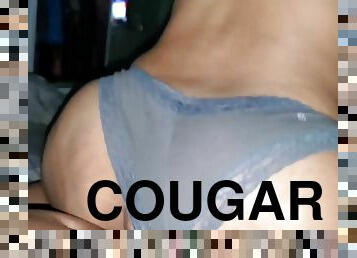 Mexican - Cougar