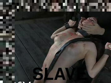 Spreading pussy open slave