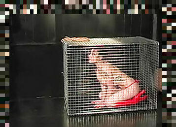 Naked girl in a cage has big tits