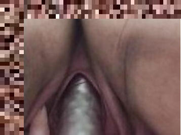 culo, tetas-grandes, gorda, masturbación, coño-pussy, babes, adolescente, juguete, recopilación, regordeta