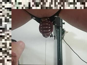 Handsfree Fuckmachine Squirt Assgasm with Pup Caged Bitch Cock