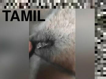 Tamil Mallu Girl Blowjob And Hard Fuking
